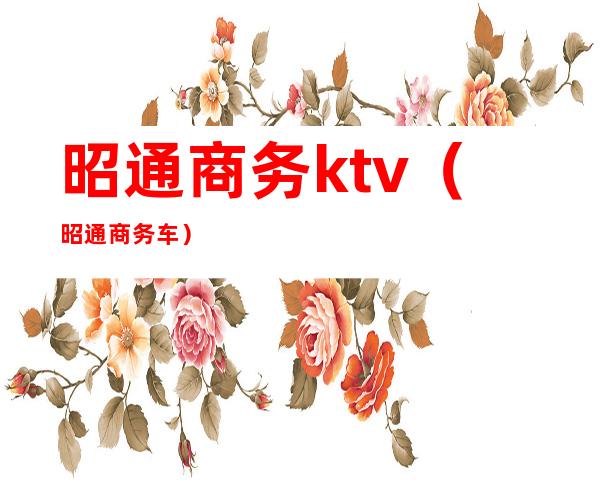 昭通商务ktv(昭通商务车)