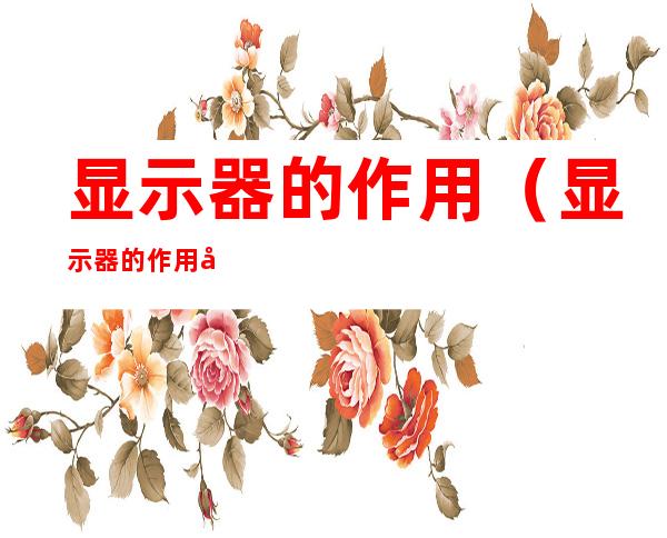 显示器的作用（显示器的作用大吗）