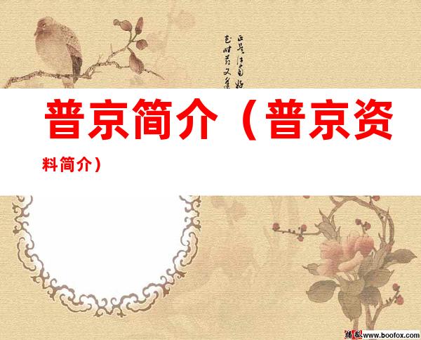 普京简介(普京资料简介)
