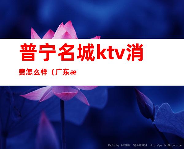普宁名城ktv消费怎么样(广东普宁售楼ktv)