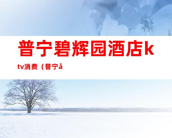 普宁碧辉园酒店ktv消费(普宁商品城KTV)