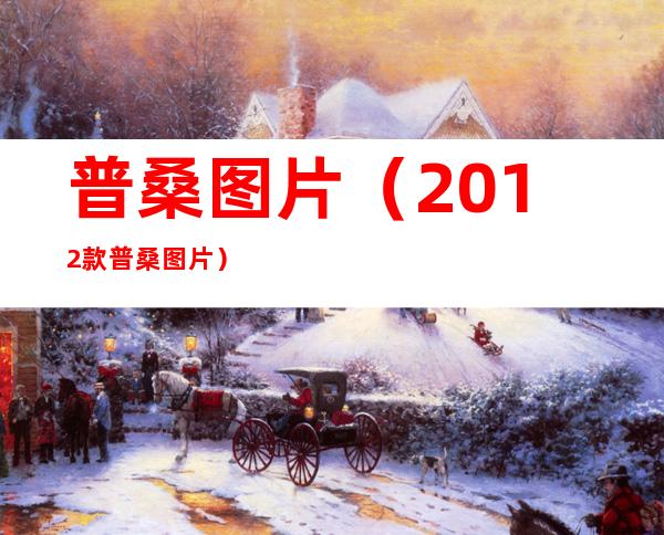 普桑图片(2012款普桑图片)