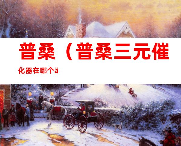 普桑(普桑三元催化器在哪个位置)