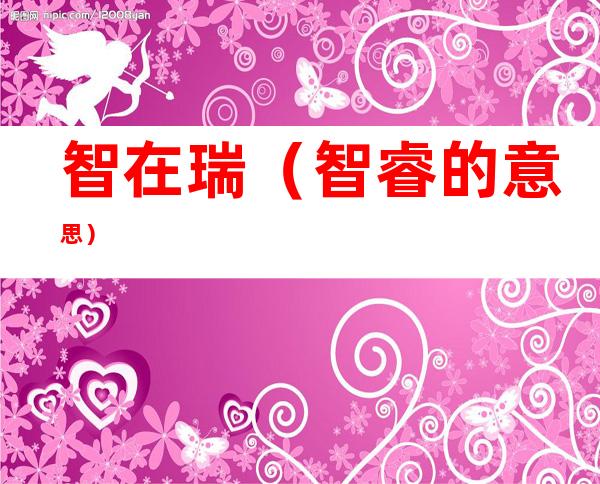 智在瑞（智睿的意思）