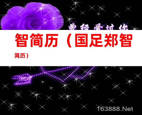 智简历（国足郑智简历）