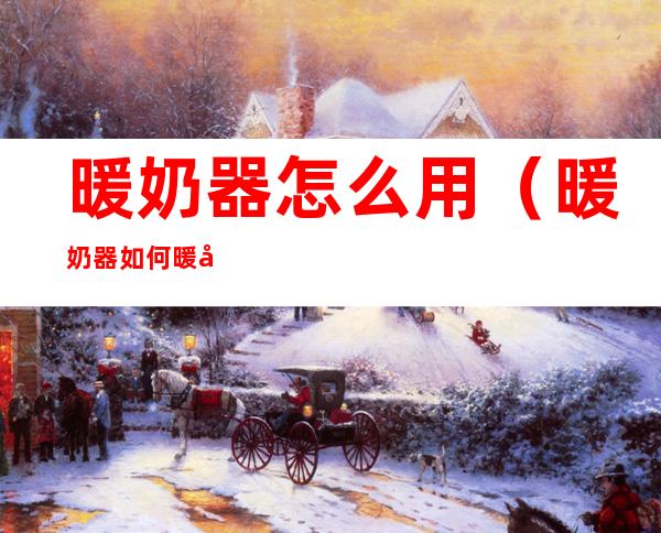 暖奶器怎么用(暖奶器如何暖奶)