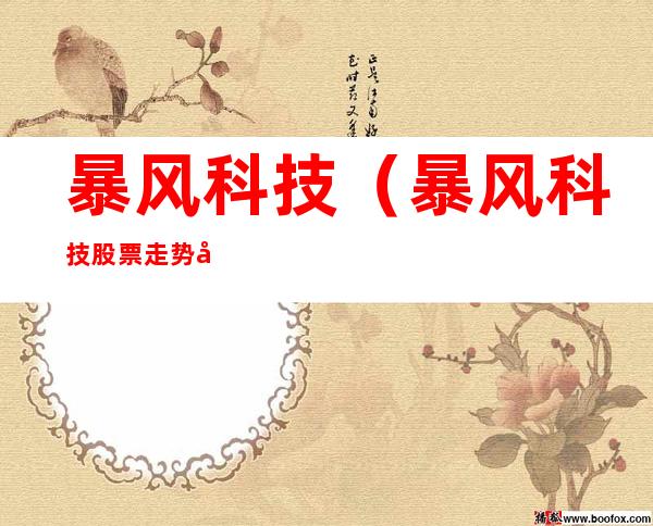 暴风科技(暴风科技股票走势图)