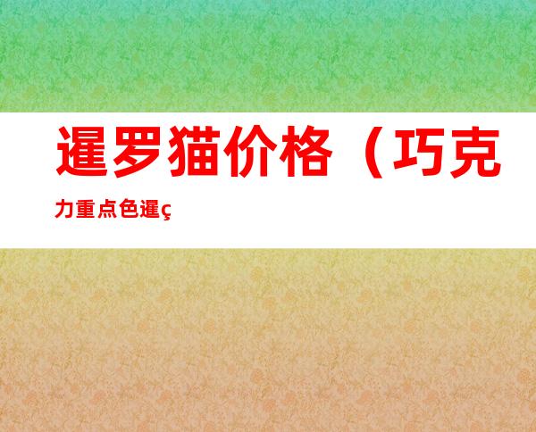 暹罗猫价格(巧克力重点色暹罗猫价格)