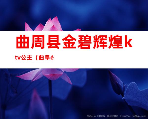 曲周县金碧辉煌ktv公主(曲阜金马地ktv公主)