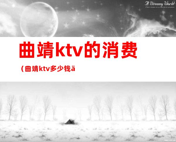 曲靖ktv的消费(曲靖ktv多少钱一晚)