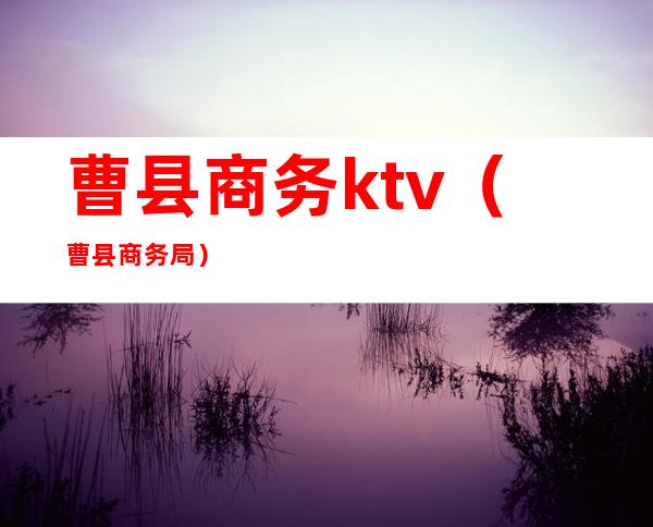 曹县商务ktv(曹县商务局)