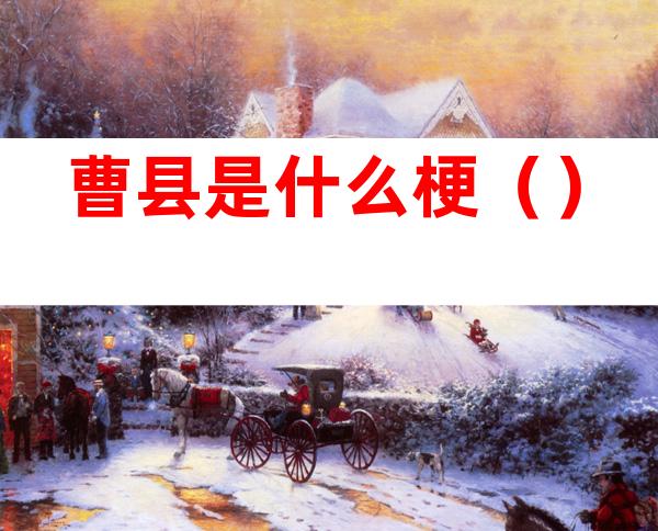 曹县是什么梗()