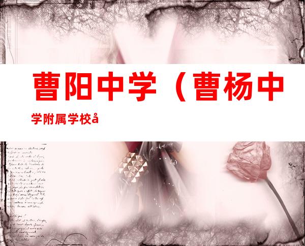 曹阳中学(曹杨中学附属学校好吗)