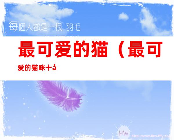 最可爱的猫(最可爱的猫咪十大排名)