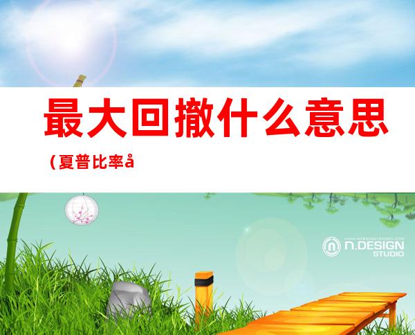 最大回撤什么意思(夏普比率和最大回撤什么意思)