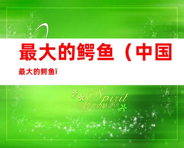 最大的鳄鱼（中国最大的鳄鱼）