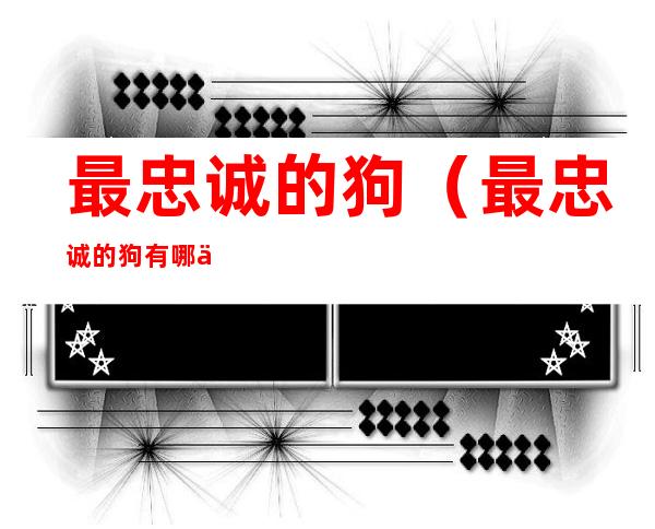 最忠诚的狗(最忠诚的狗有哪些)