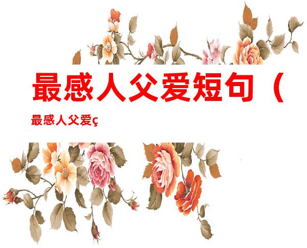 最感人父爱短句(最感人父爱短句配图动漫)