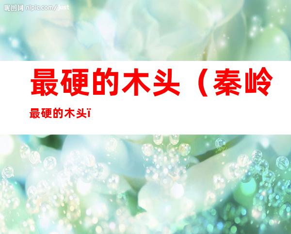 最硬的木头(秦岭最硬的木头)