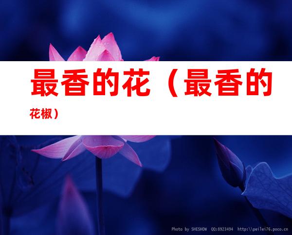 最香的花(最香的花椒)