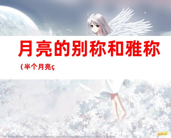 月亮的别称和雅称(半个月亮的别称和雅称)