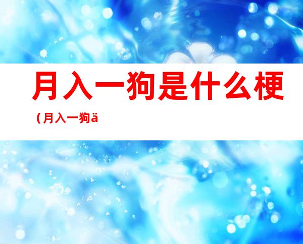 月入一狗是什么梗(月入一狗什么意思)