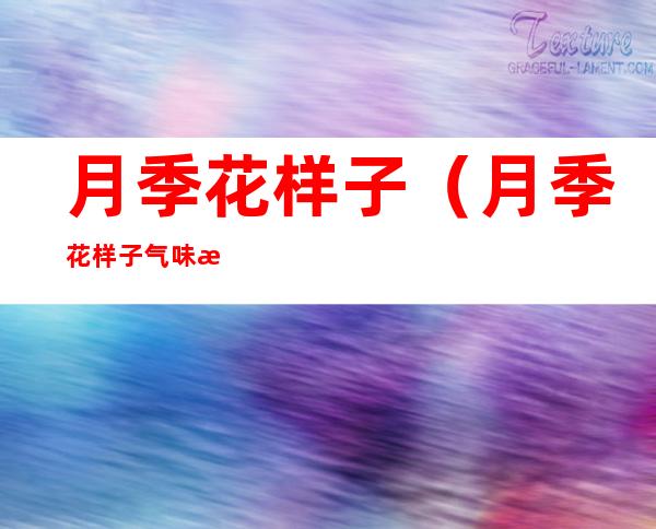 月季花样子（月季花样子气味描写）