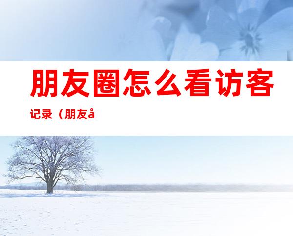朋友圈怎么看访客记录（朋友圈怎样看访客记录）