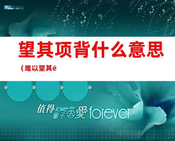 望其项背什么意思（难以望其项背什么意思）