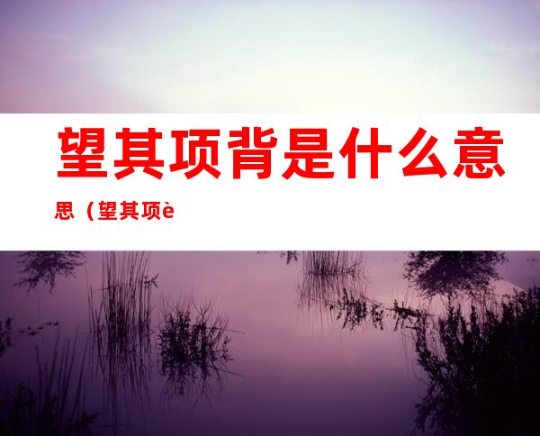 望其项背是什么意思(望其项背是什么意思的意思)