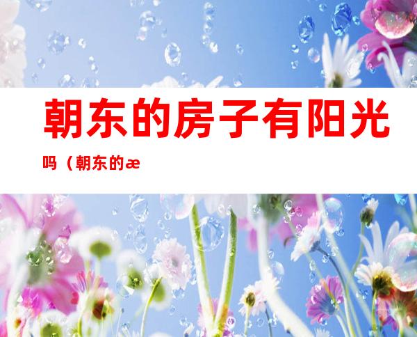 朝东的房子有阳光吗（朝东的房子有阳光吗好吗）