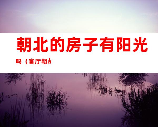 朝北的房子有阳光吗（客厅朝北的房子有阳光吗）