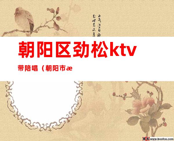 朝阳区劲松ktv带陪唱(朝阳市歌厅陪唱)