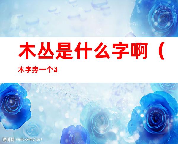 木丛是什么字啊(木字旁一个丛林的丛是什么字)