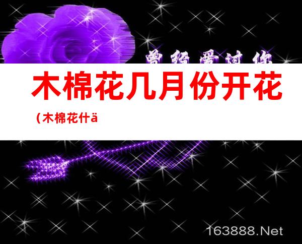 木棉花几月份开花（木棉花什么月份开花）