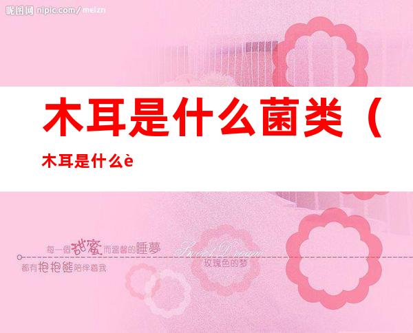木耳是什么菌类(木耳是什么菌类食物)