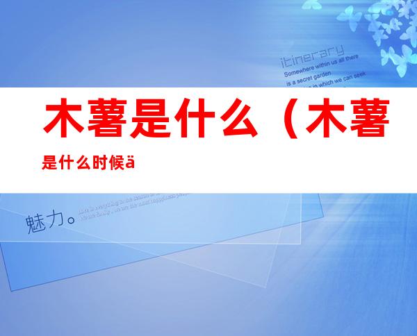 木薯是什么(木薯是什么时候传入中国)