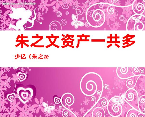 朱之文资产一共多少亿（朱之文有多少身价）