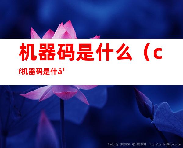 机器码是什么(cf机器码是什么东西)