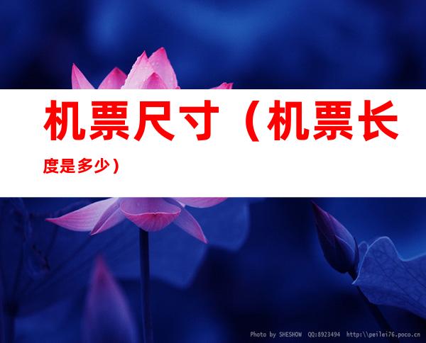 机票尺寸（机票长度是多少）