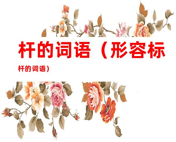 杆的词语(形容标杆的词语)