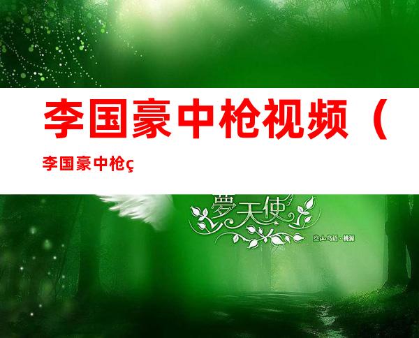 李国豪中枪视频(李国豪中枪现场)