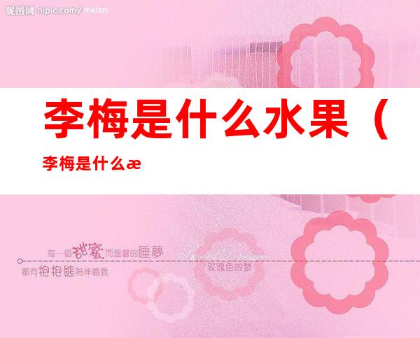 李梅是什么水果(李梅是什么水果图片)