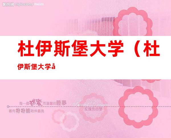 杜伊斯堡大学（杜伊斯堡大学宣传）
