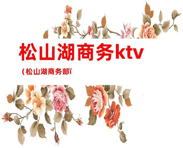 松山湖商务ktv(松山湖商务部)