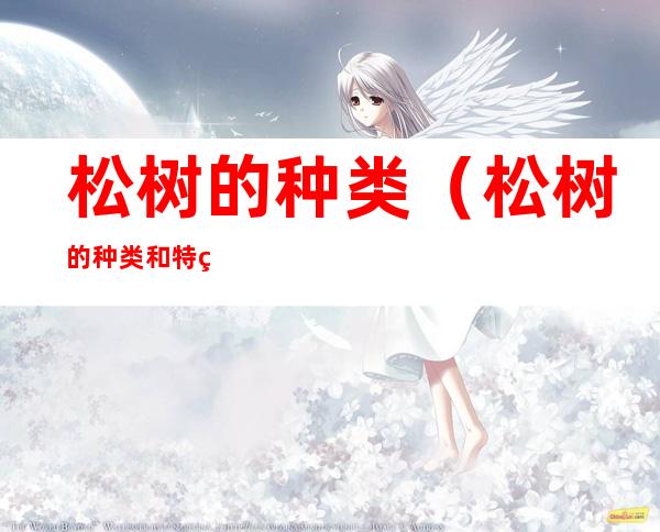 松树的种类（松树的种类和特点）