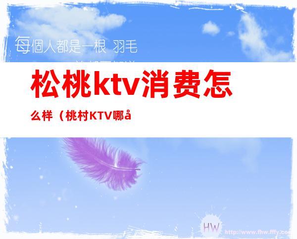 松桃ktv消费怎么样（桃村KTV哪家服务好）