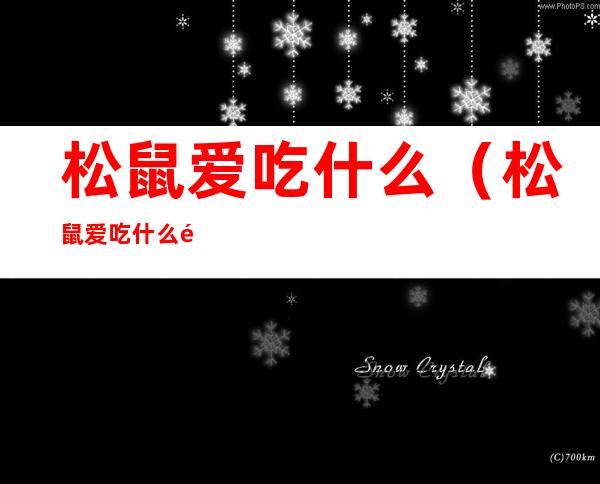 松鼠爱吃什么(松鼠爱吃什么食物有哪些)