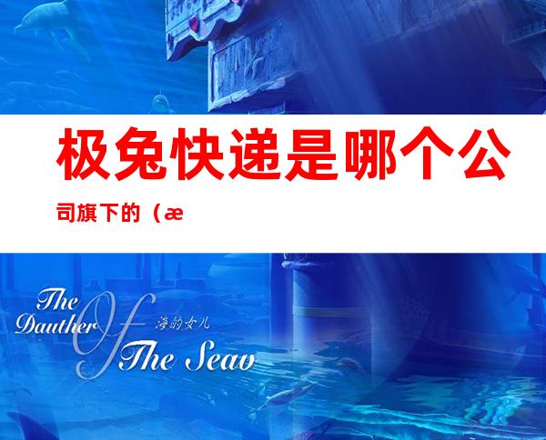 极兔快递是哪个公司旗下的(极兔是哪家快递公司)