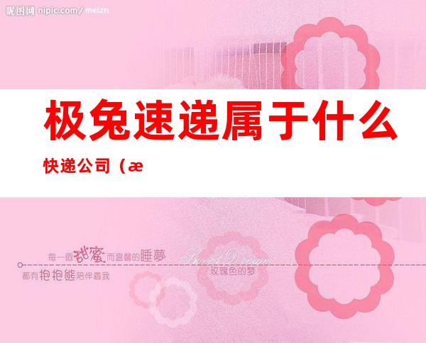 极兔速递属于什么快递公司（极兔速递属于什么快递公司怎么加入）